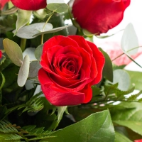 Buchet rotund din 7 trandafiri rosii 4